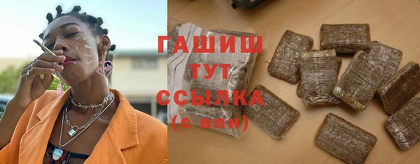 индика Богородицк