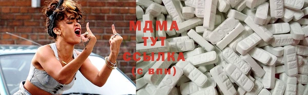 индика Богородицк