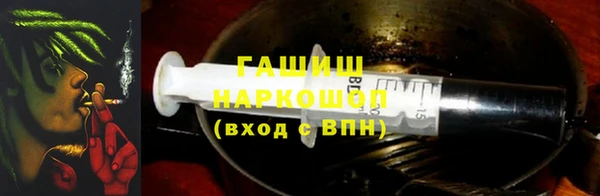 прущие грибы Богданович